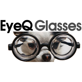 EyeQ Glasses